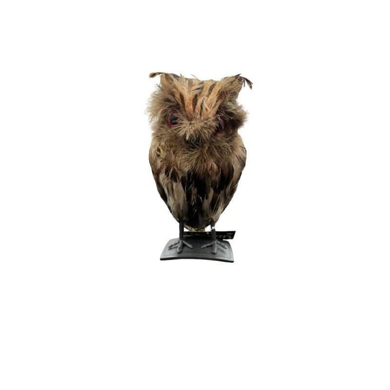 Feather Owl