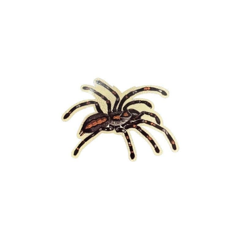 Spider Cutout