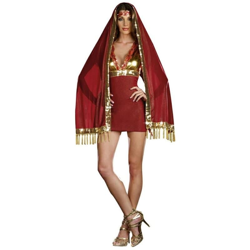 334 / Bollywood Princess Red - Adult Costume (Medium)