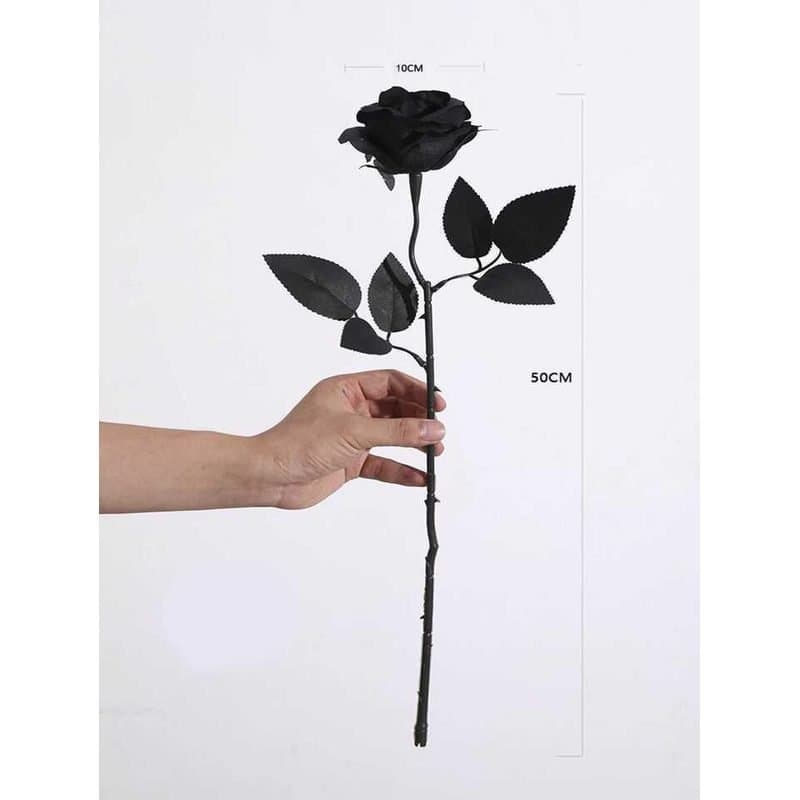 Black Rose Single Stem