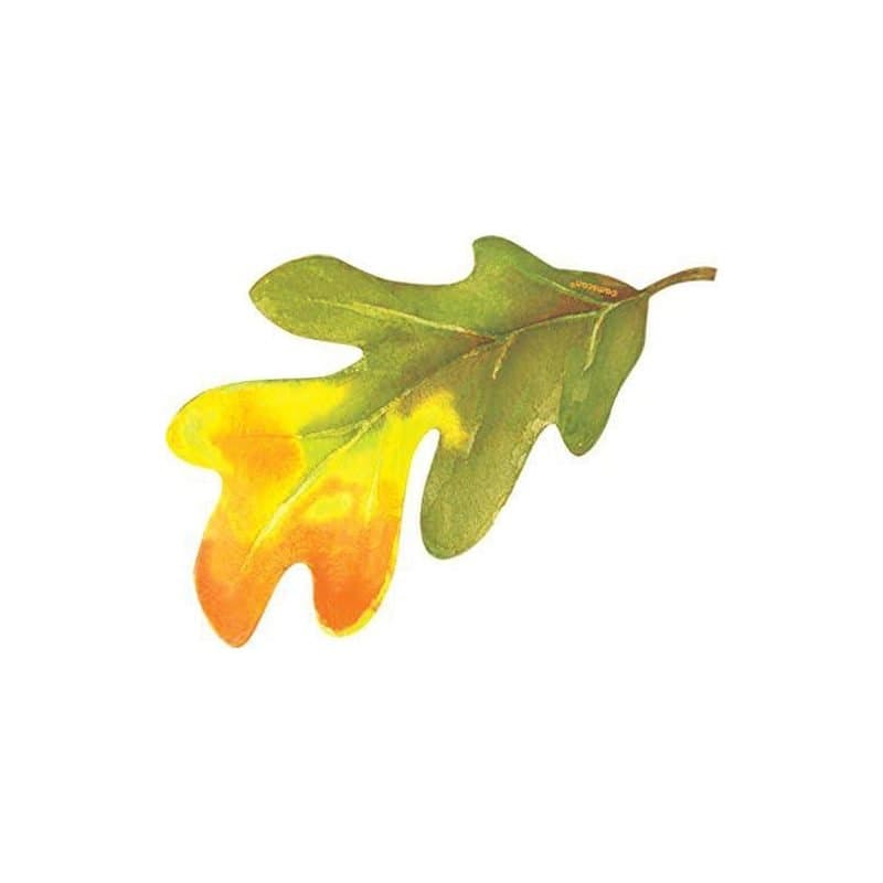Fall Leaf Cutouts 12ct
