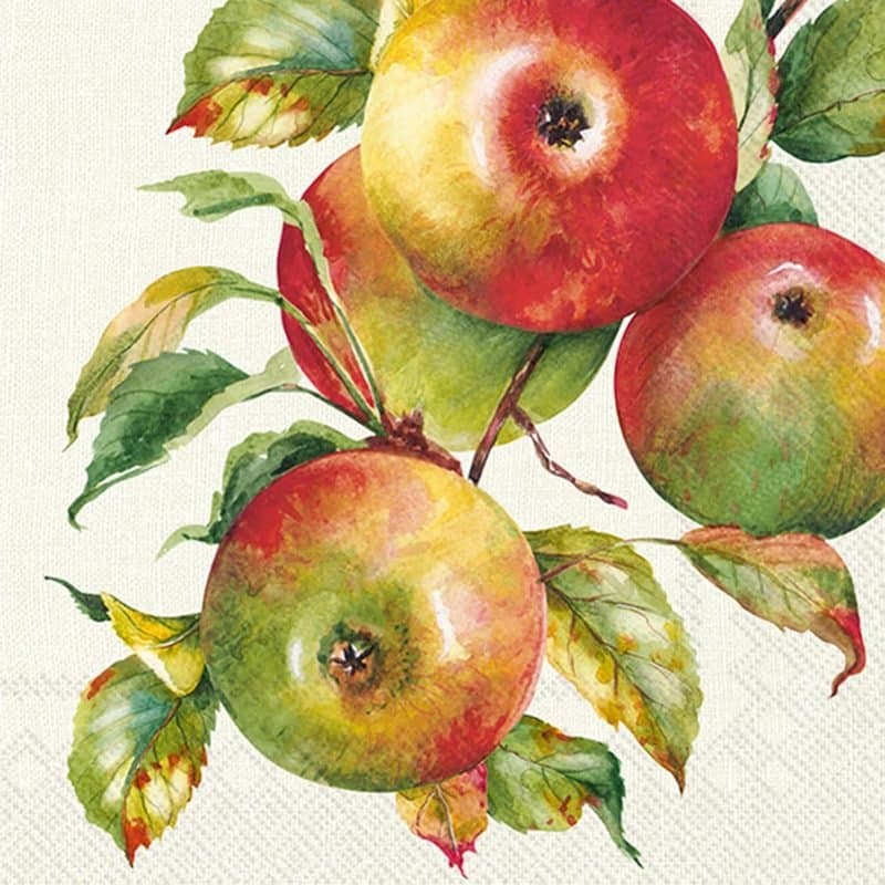 Lunch Napkins 20ct Home Grown Apples - Cream