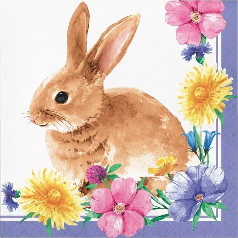 Napkin - Bunny And Blooms Lunch Napkins, 16ct, 12 7/8"x12 3/4", 2ply