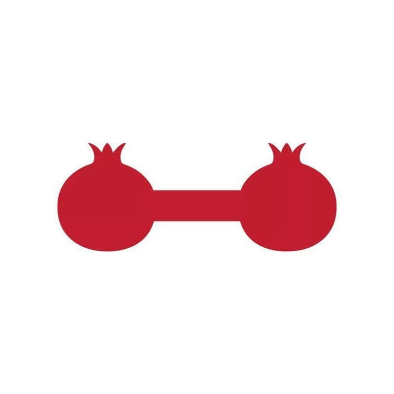 Napkin Ring Pomegranate 10ct