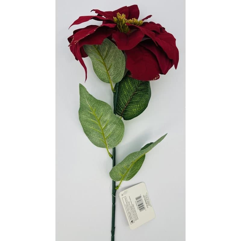 Poinsettia - Christmas Flower, Red/White, 26in Tall - Red