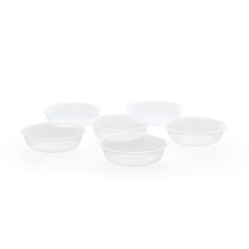 Seder Plate Liners 6ct