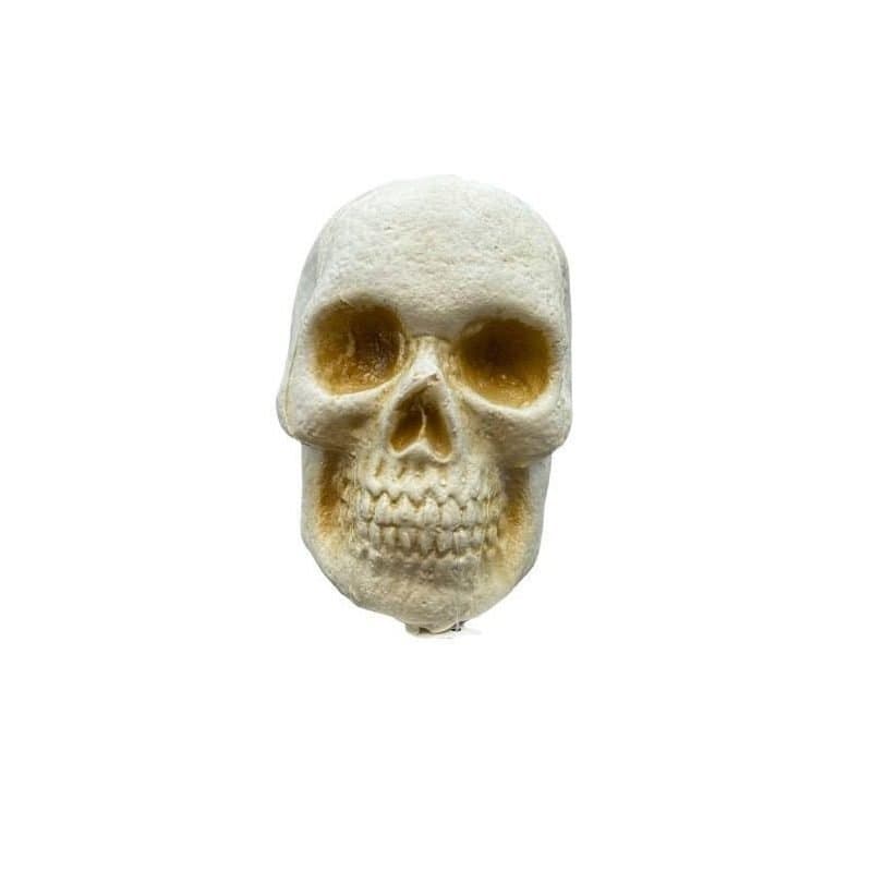 Table Top Skull