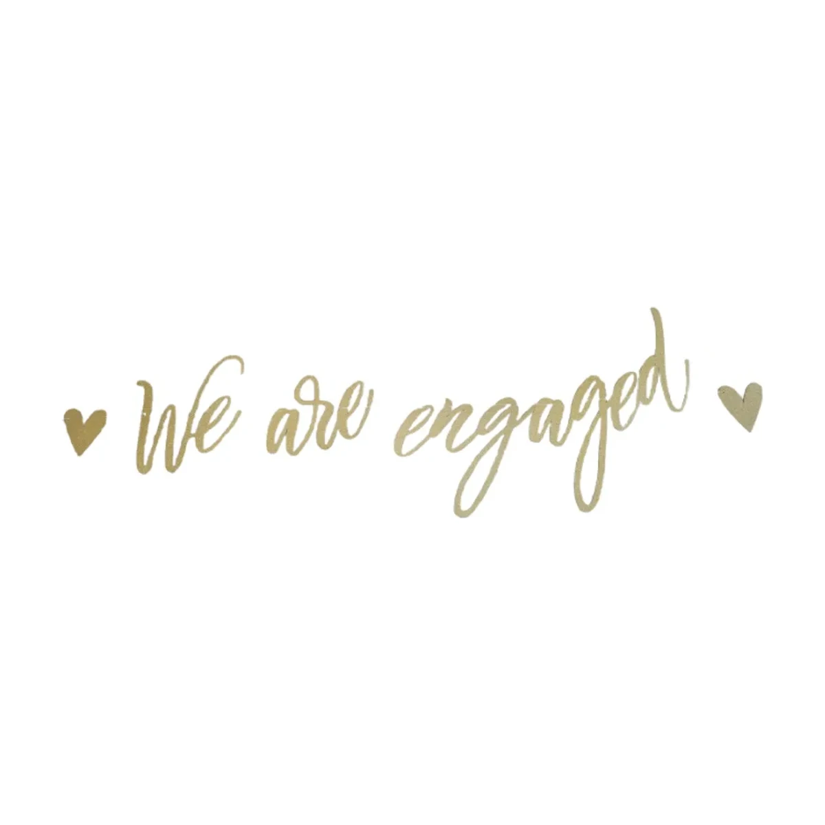 We Are Engaged Banner