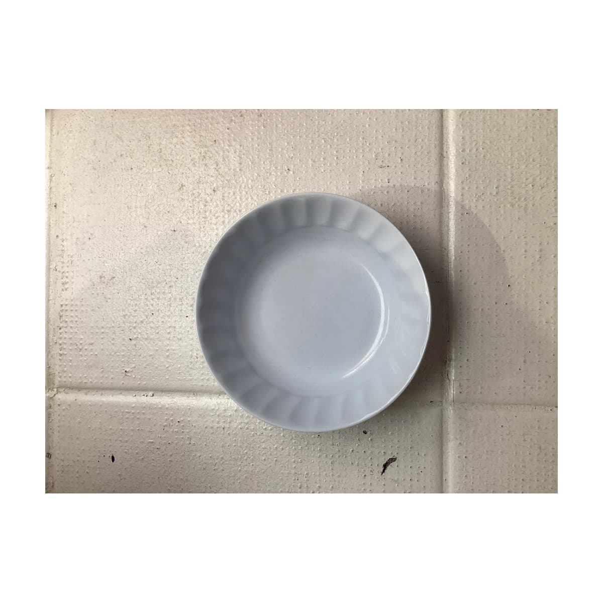 White Scalloped 6”
